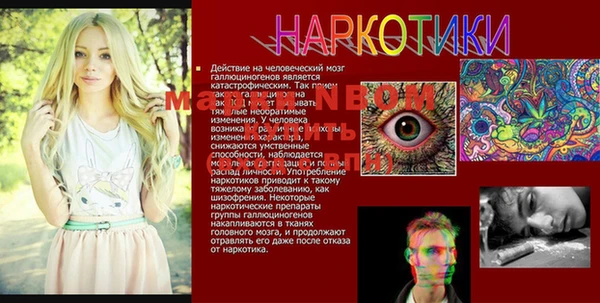 ПСИЛОЦИБИНОВЫЕ ГРИБЫ Заводоуковск