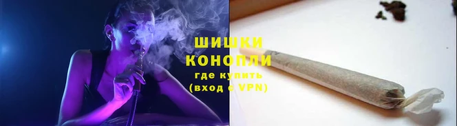 ПСИЛОЦИБИНОВЫЕ ГРИБЫ Заводоуковск