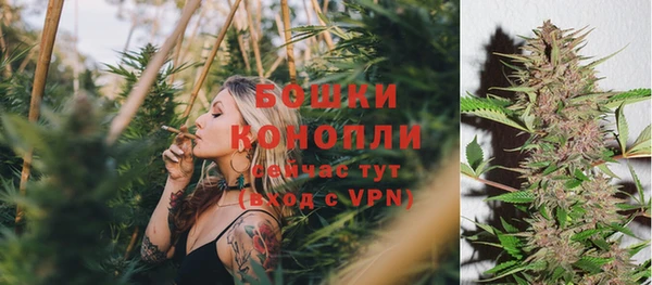 ПСИЛОЦИБИНОВЫЕ ГРИБЫ Заводоуковск