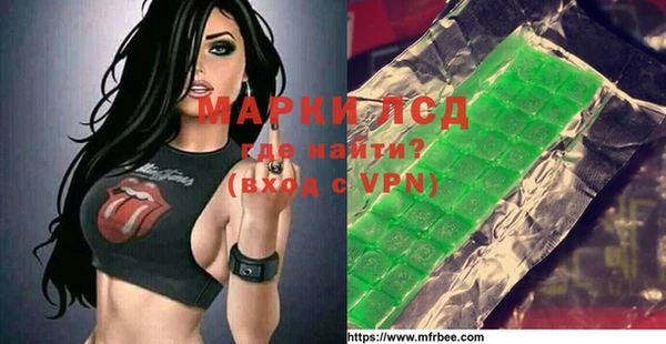 ПСИЛОЦИБИНОВЫЕ ГРИБЫ Заводоуковск