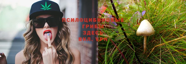 ПСИЛОЦИБИНОВЫЕ ГРИБЫ Заводоуковск
