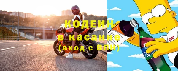 ПСИЛОЦИБИНОВЫЕ ГРИБЫ Заводоуковск