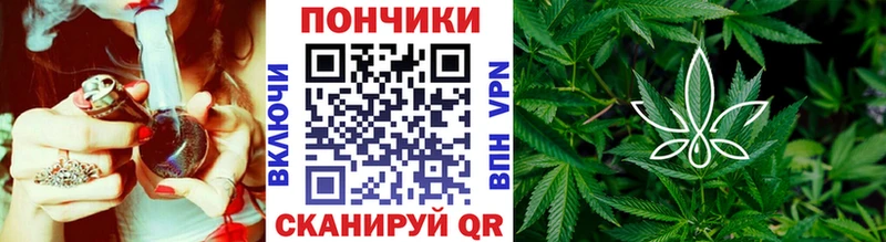 Бошки марихуана марихуана  Купить  Мценск 